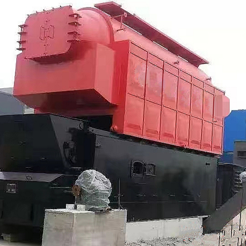 DZL Firewood Series Steam Boiler